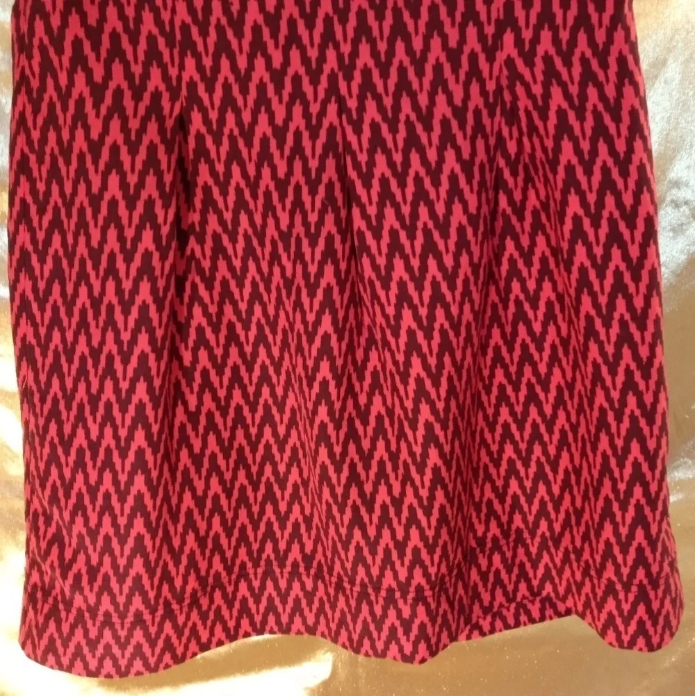 Ann Taylor LOFT Pleated Skirt Sz4